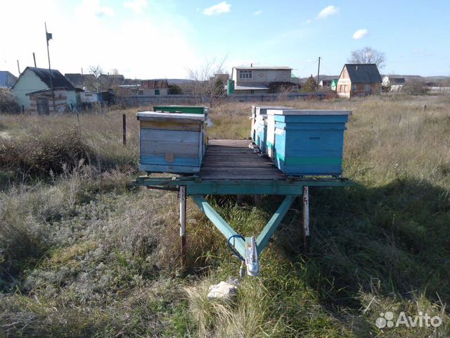 Продам пчело прицеп купить на Зозу.ру - фотография № 2