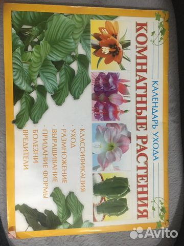 Календарь комнатных растений