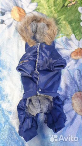Продам новый комбинезон для маленькой собаки купить на Зозу.ру - фотография № 1
