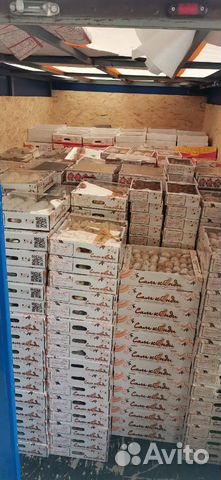 Грузоперевозки грузчики Переезды Грузотакси