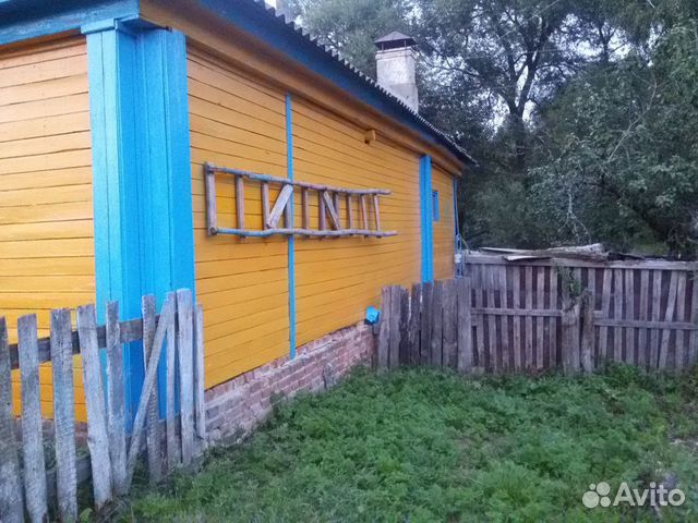 циссус мужегон. березовые дрова 6 метровые. осина пиловочник. евдоколье погарский район. авито березовые доски туймазы.