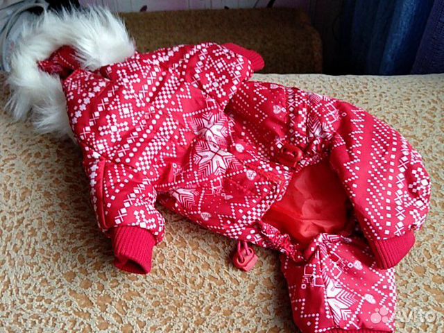Зимний комбинезон для собак купить на Зозу.ру - фотография № 2