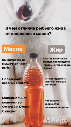 Лососевое масло для собак купить на Зозу.ру - фотография № 4