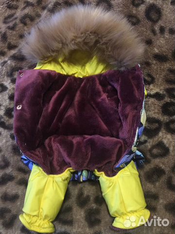 Одежда для собак