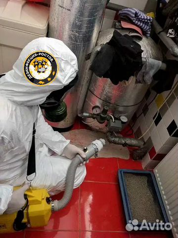 Профессиональное уничтожение тараканов,клопов Профессиональное уничтожение тараканов,клопов