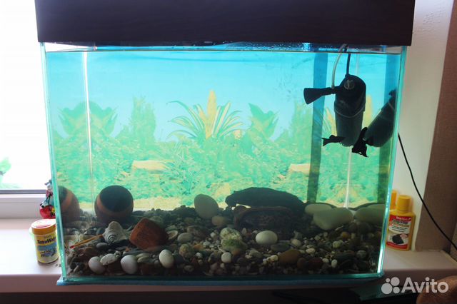 аквариум 90 литров сколько можно рыбок
