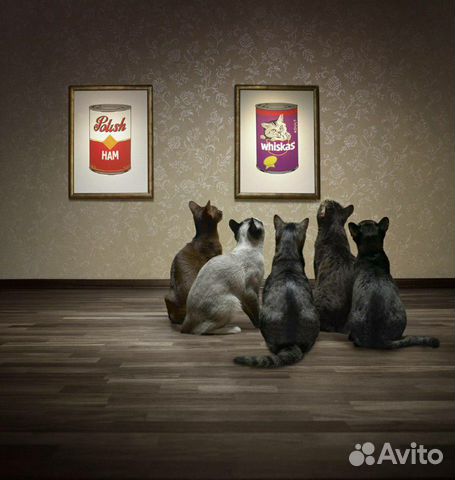 Корм для кошек и котов Корм для кошек и котов