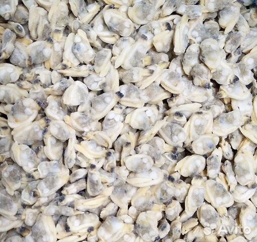 Мясо устриц