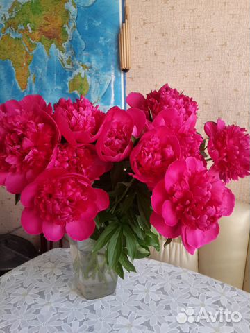 Букет пионов