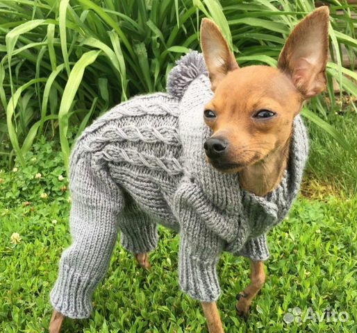 Вязаная одежда для собак