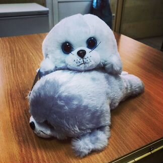 Байкальская нерпа (сувенир)