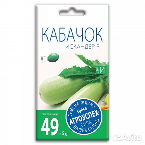 Кабачок искандер ф1 фото