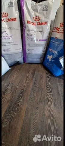 Сухой корм для собак Роял канин