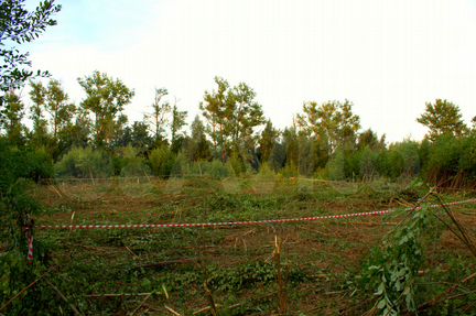 Участок 12 сот. (СНТ, ДНП)