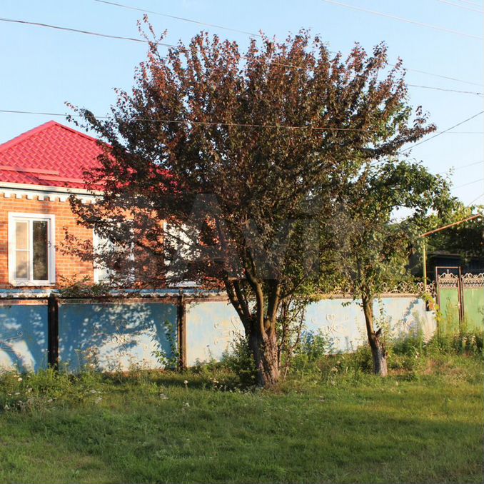 Недвижимость александровка. Село Маргаритово Ростовская область. Село Маргаритово Азовский район Ростовская область. Ростовская область, Азовский р-н, с. Маргаритово. Ростовская область, Азовский р-н, с. Маргаритово, Садовая ул..