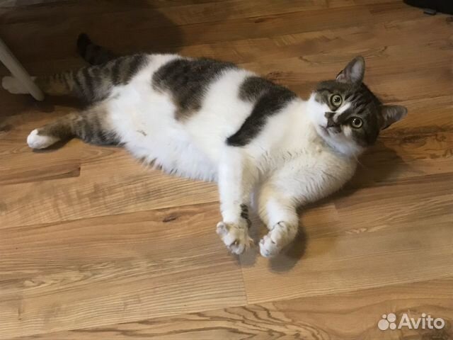 Лего дупло машинки