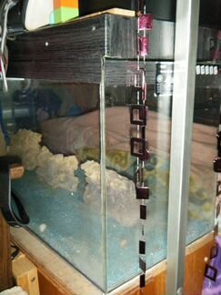 Аквариумы террариумы