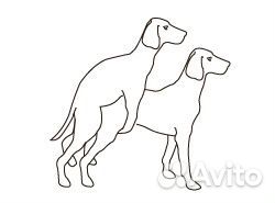 Инструктор по вязке собак