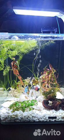 Аквариум/нанокуб/dennerle полный комплект