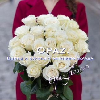 25 роз Эквадор 60см