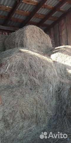Сено в рулонах