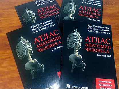 Синельников анатомия. Синельников атлас анатомии человека 4 Тома. Синельников атлас анатомии человека 1 Тома. Атлас по анатомии (Синельников) в 4-х томах. Атлас анатомии человека р.д. Синельникова в 4 томах.