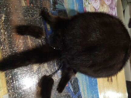 Шапка норковая женская