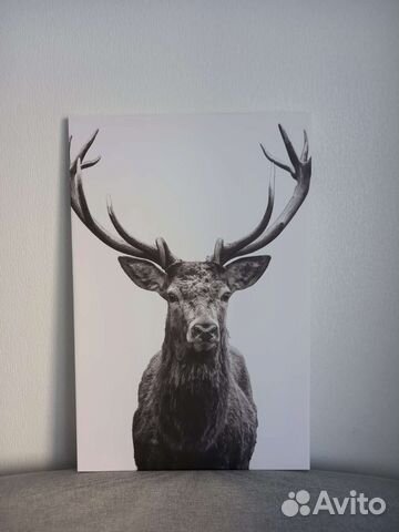 Картина под икеа Олень