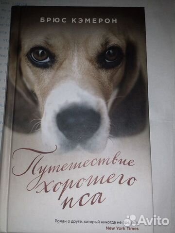 Книги про собак новые
