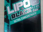 Жиросжигатель Lipo 6 black hers ultra concentrate