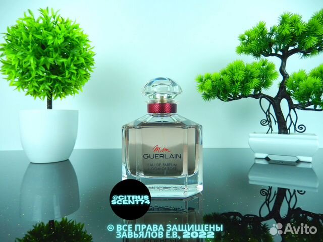 Guerlain - Mon Guerlain Bloom of Rose Отливант