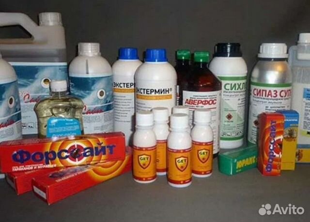 Средства, отрава, препараты, от клопов тараканов