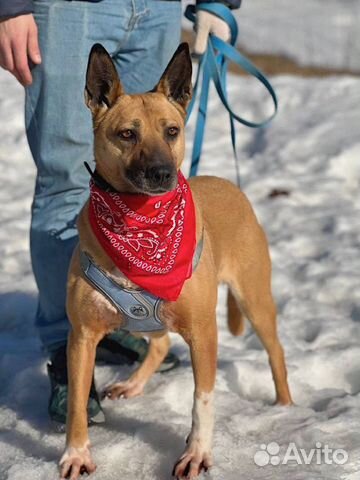 Влт такая девочка ищет дом, маму и папу