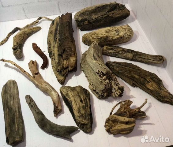 Дрифтвуд, коряги, камни, стекло, ракушки, плитка