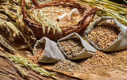 Комбикорм от производителя