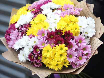 Купить садовые цветы в чебоксарах купить букет из сухоцветов в москве