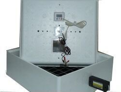 Инкубатор (полный автомат с 12 Вольт) 63 яйца эп-5