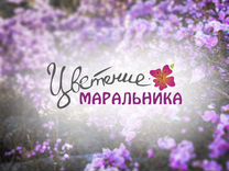 Доставка на фестиваль "Цветение маральника" 29.04