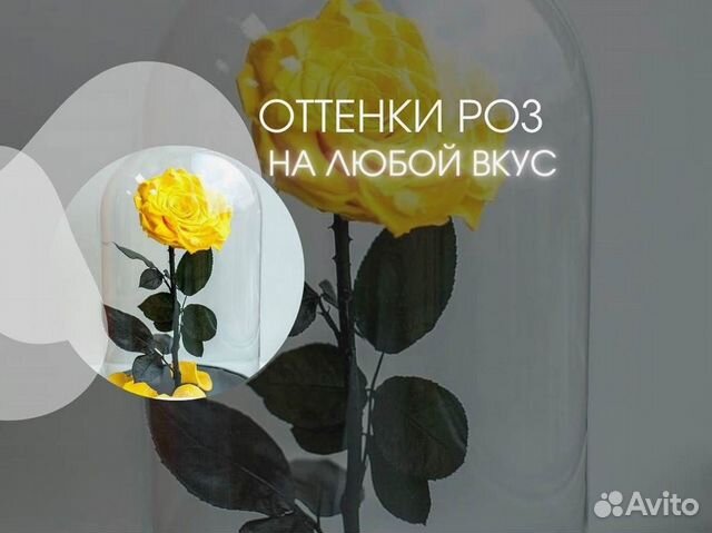 Роза в колбе. Качественная