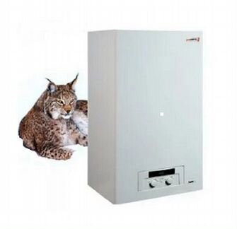 Настенный газовый котел Protherm Рысь HK24