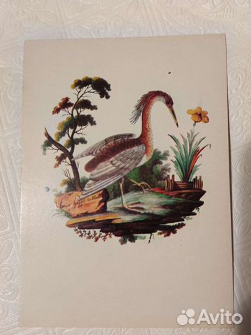 Открытка советская, 1974 год