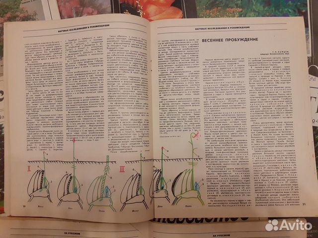 Журнал Цветоводство (СССР ) Цена за 17 штук