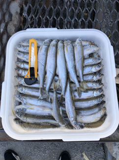Корюшка свежемороженая. Икряная. Отборная