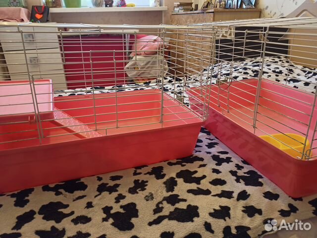 Клетка для морских свинок или кроликов