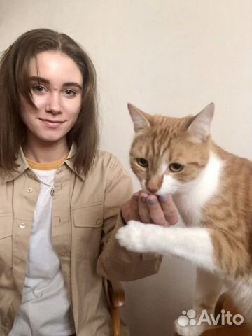 Передержка домашних животных/Выгул