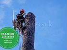 Валка, удаление, спил и обрезка деревьев в Киржаче объявление продам