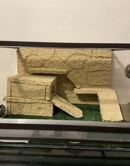 Фон - задняя стенка в террариум много разных