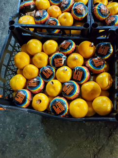 Мандарины оптом без брака