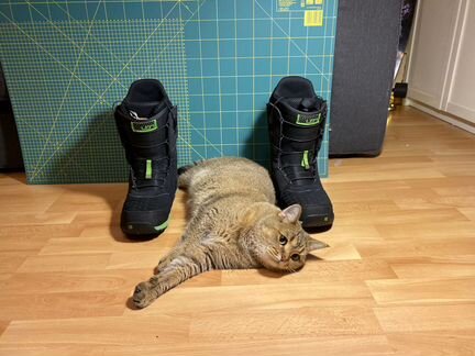 Ботинки Burton Ion 2011/2012. Размер US 9/EUR 42