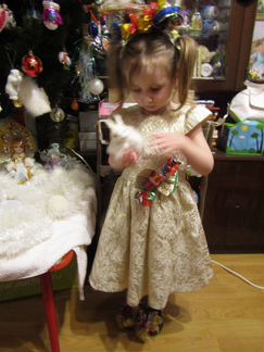 Карнавальное платье конфетки